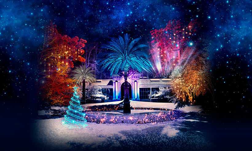 Madrid botanical garden christmas 2023: An oasis of light and nature