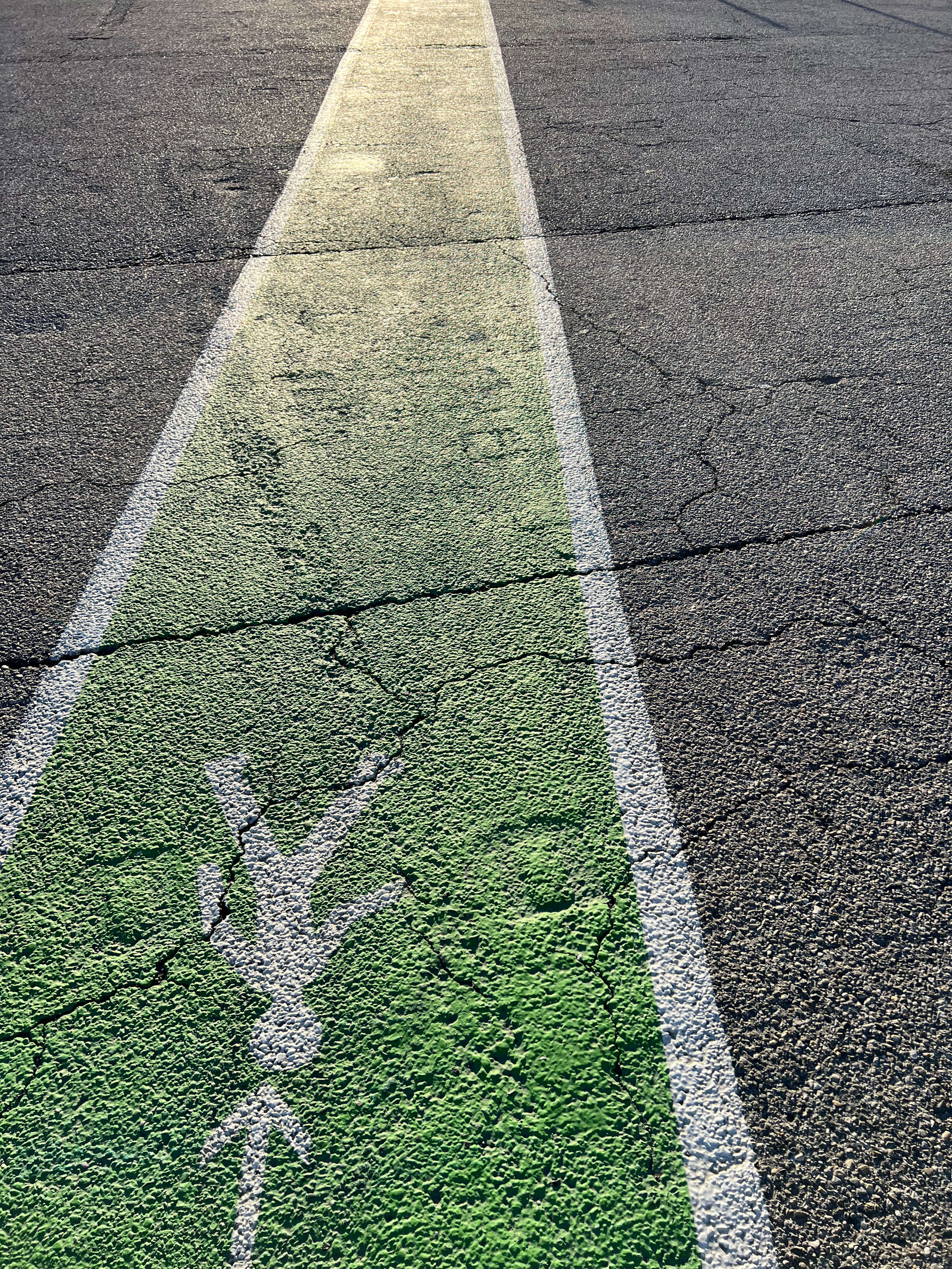 Green line from the terminal to the bus station in Marseille